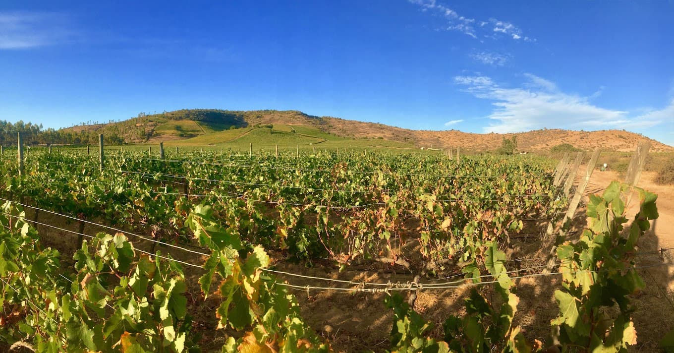 Destaque de Polkura Winery