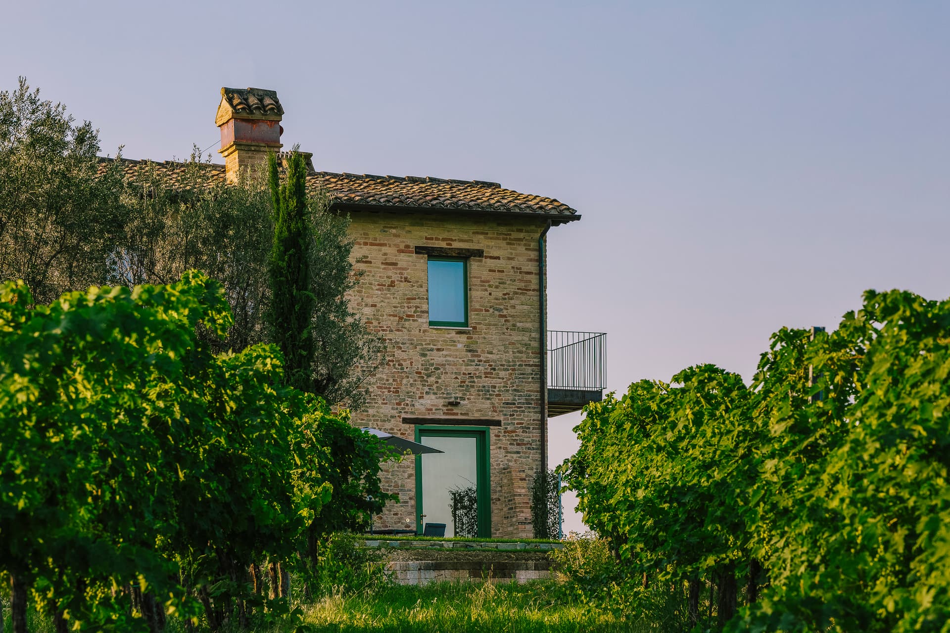 Stay at Panoramic Wine Resort | Tenuta Cocci Grifoni
