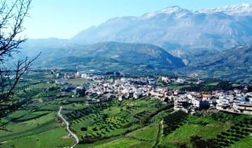Degustazione di vini | Vini Daf foto 4