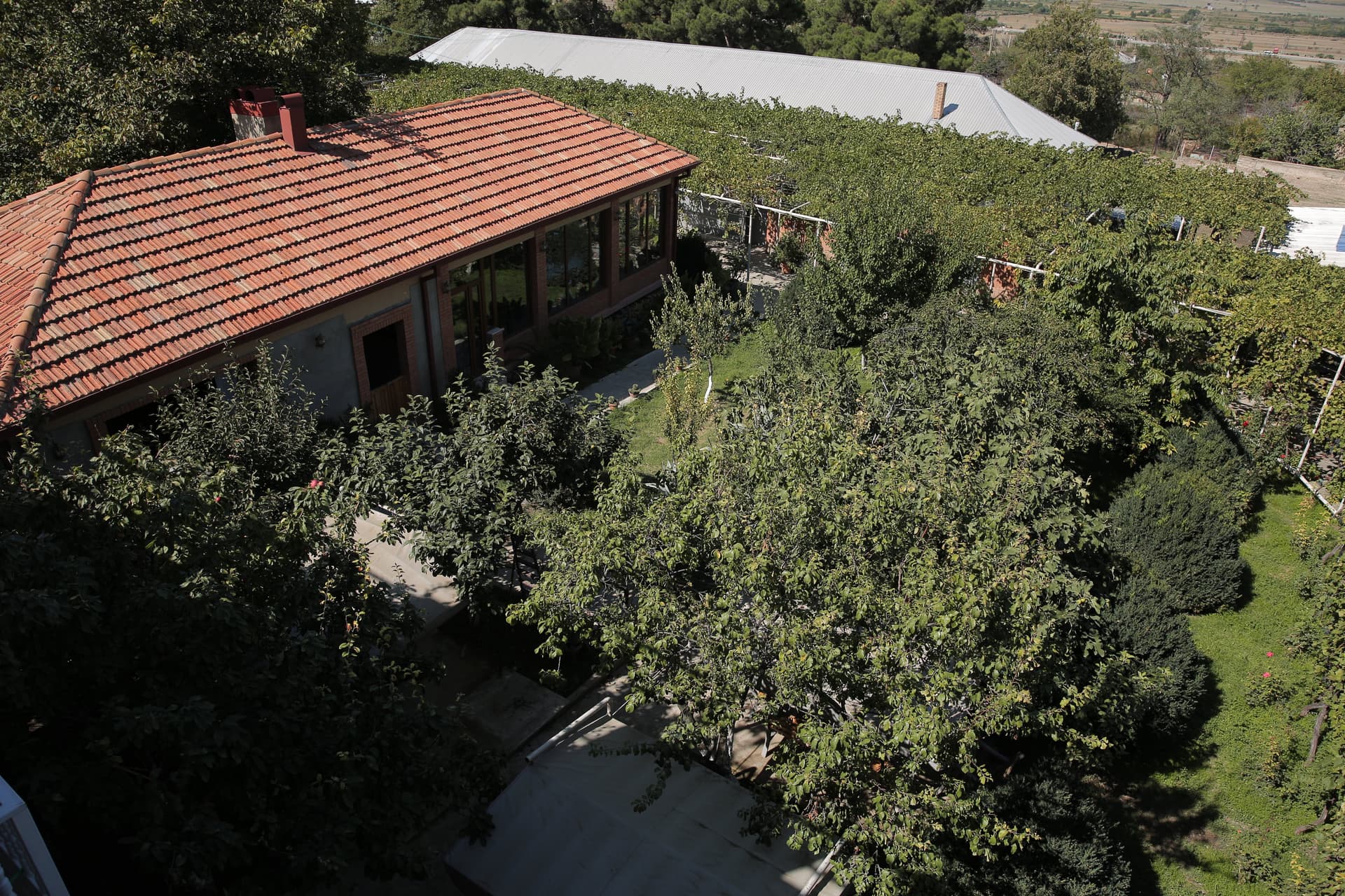 Kolkhis Ezo Winery Foto 4