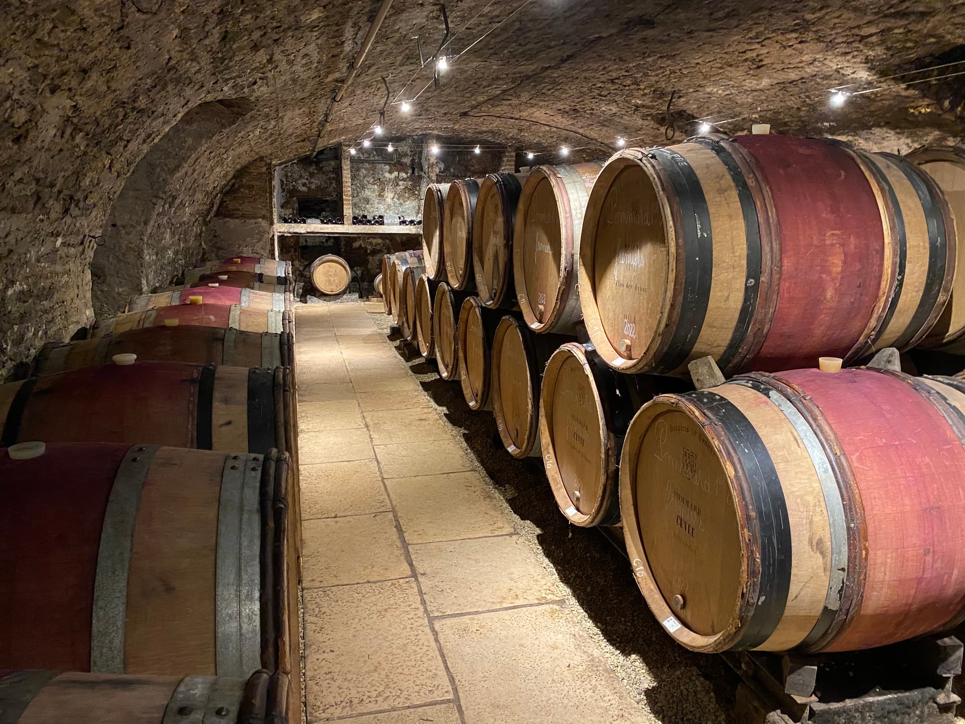 Wine tasting in the vaulted cellar from the 17th century at… photo 4