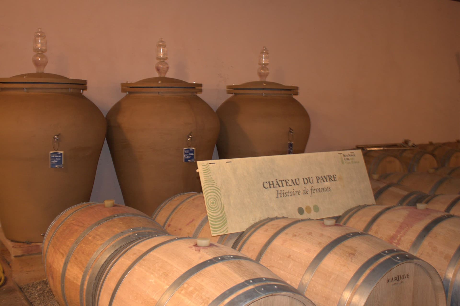 Bacchus vinprovning och rundtur på Château du Payre foto 5