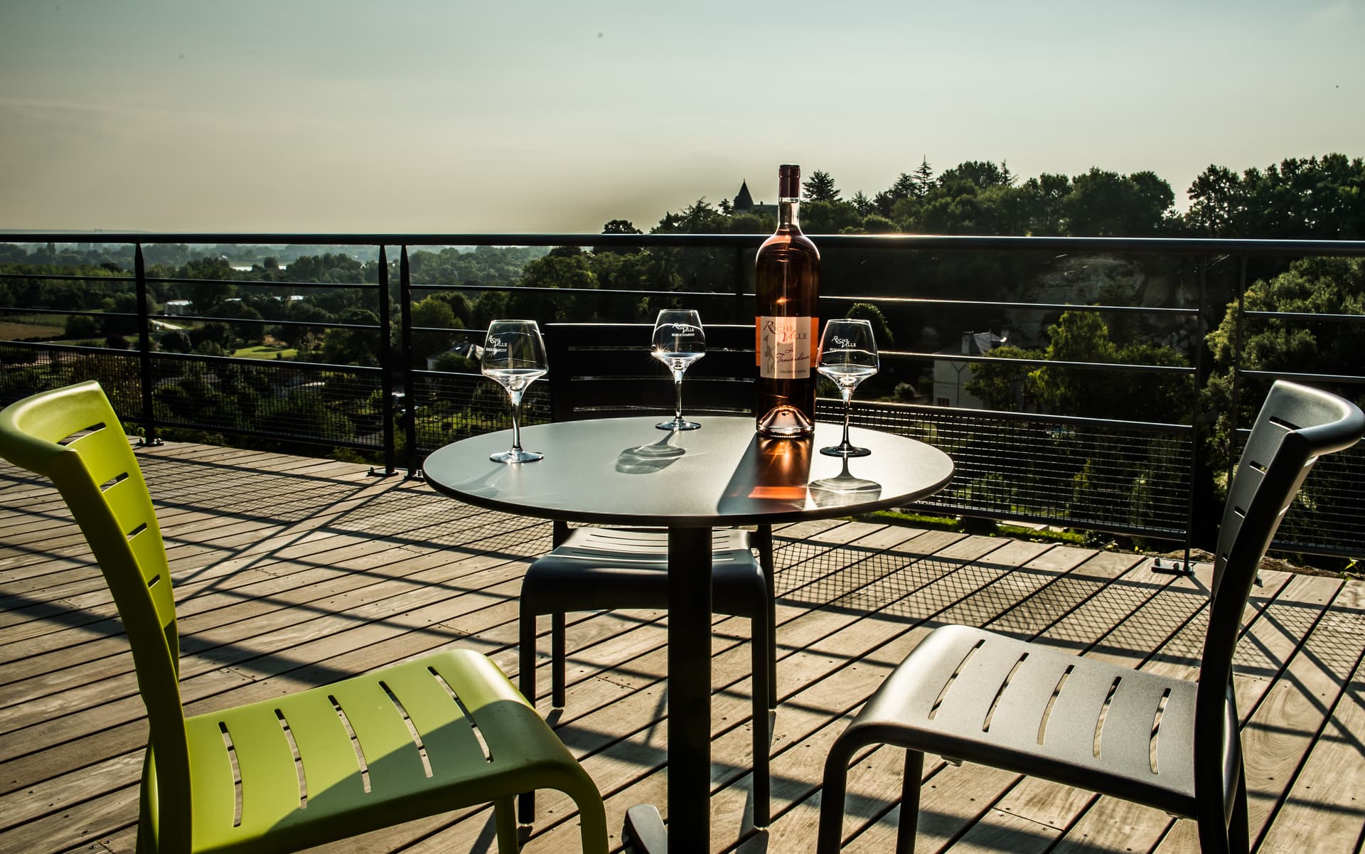 Loire Valley Wine Tour & Tasting at Domaine de Rocheville photo 2