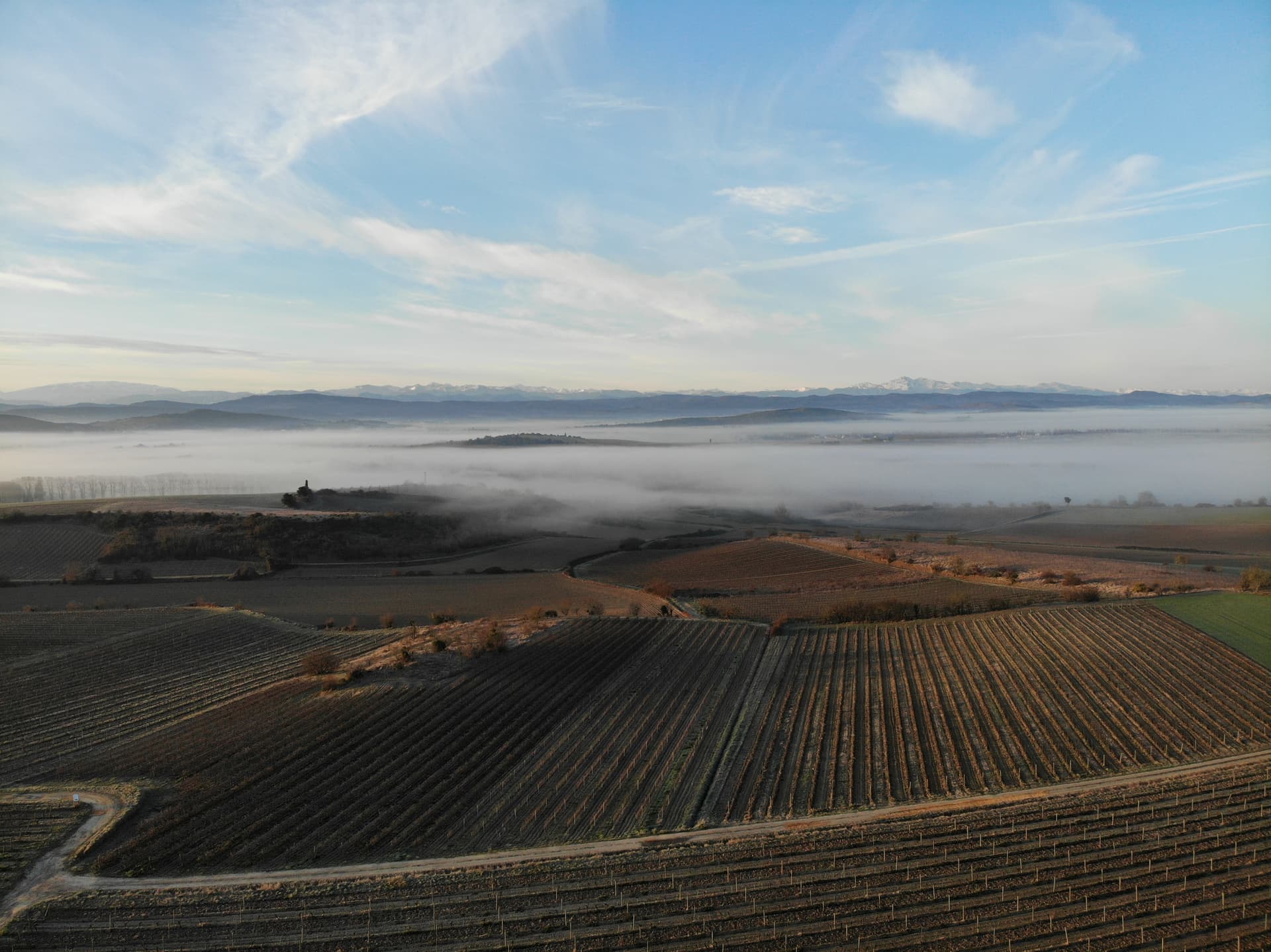 Domaine La Louvière: A Hidden Gem in Languedoc Foto 5