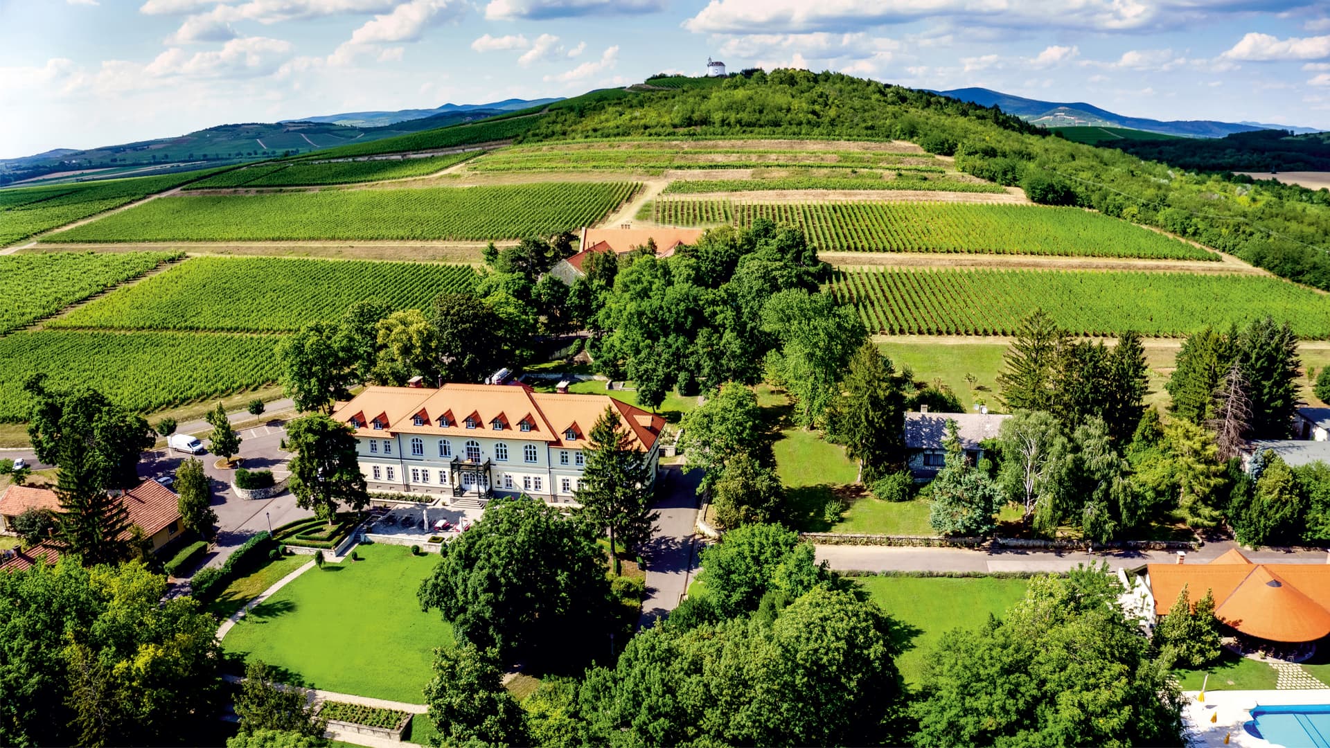 Degustazione di vini presso la tenuta vinicola Grof Degenfeld…