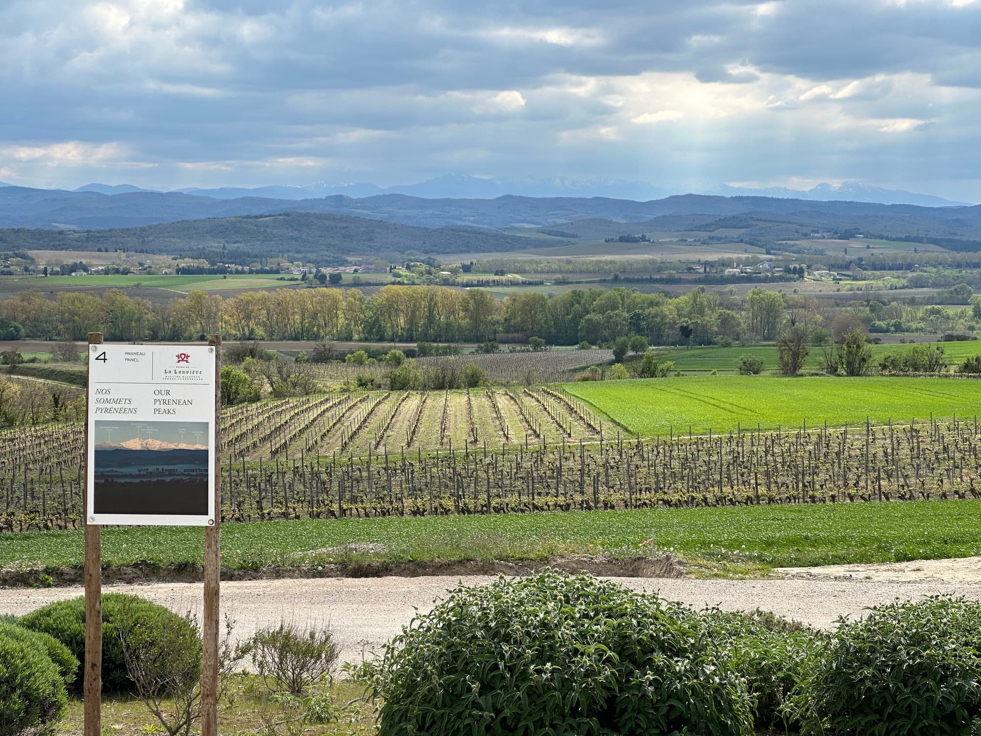 Domaine La Louvière: A Hidden Gem in Languedoc Foto 4