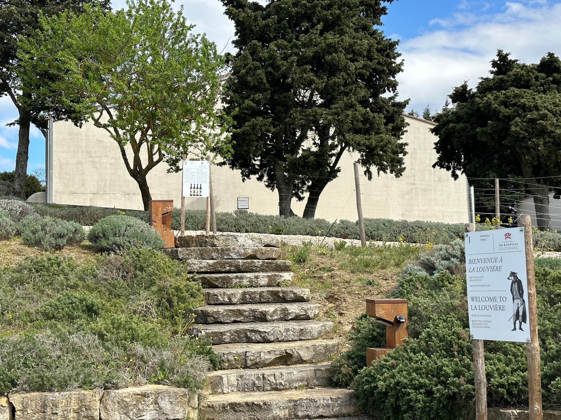 Paseo de descubrimiento: biodiversidad en los viñedos | Domaine… foto 5