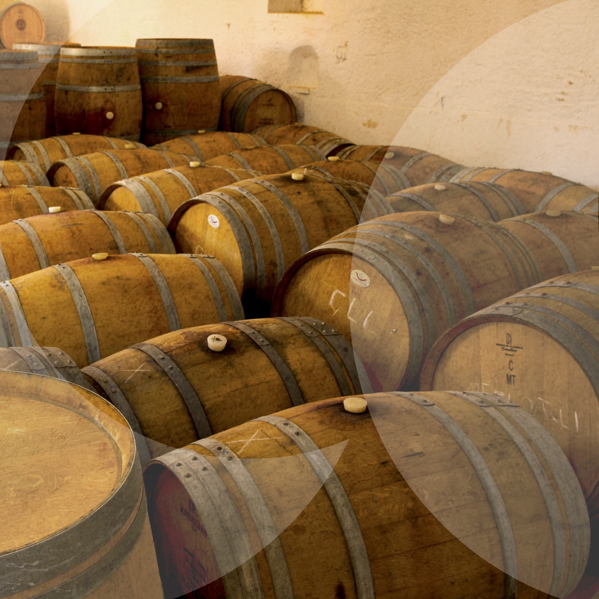 Degustazione di vini e tour a Ladron De Lunas foto 4