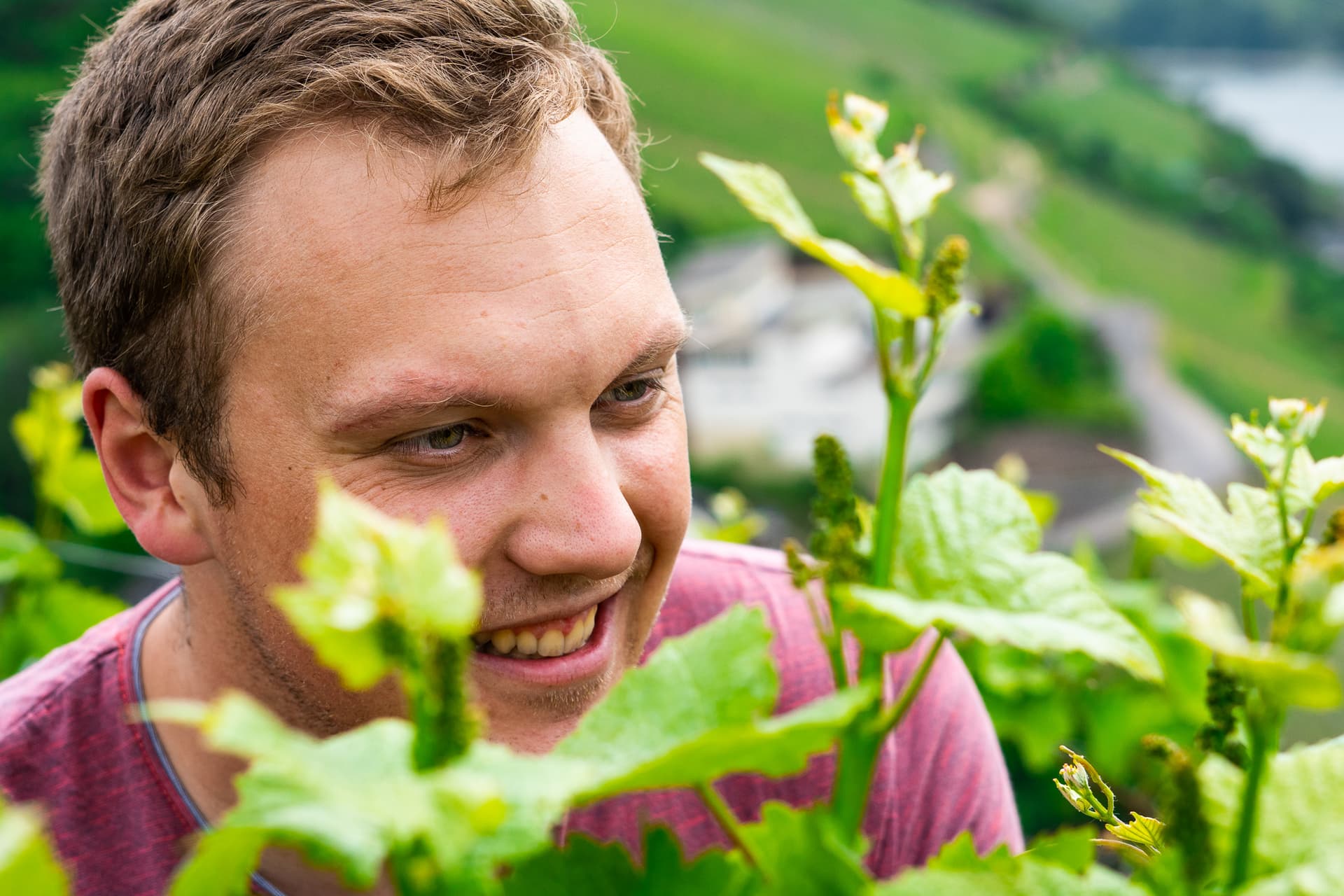 Cata de vinos en Weingut Robert König foto 4