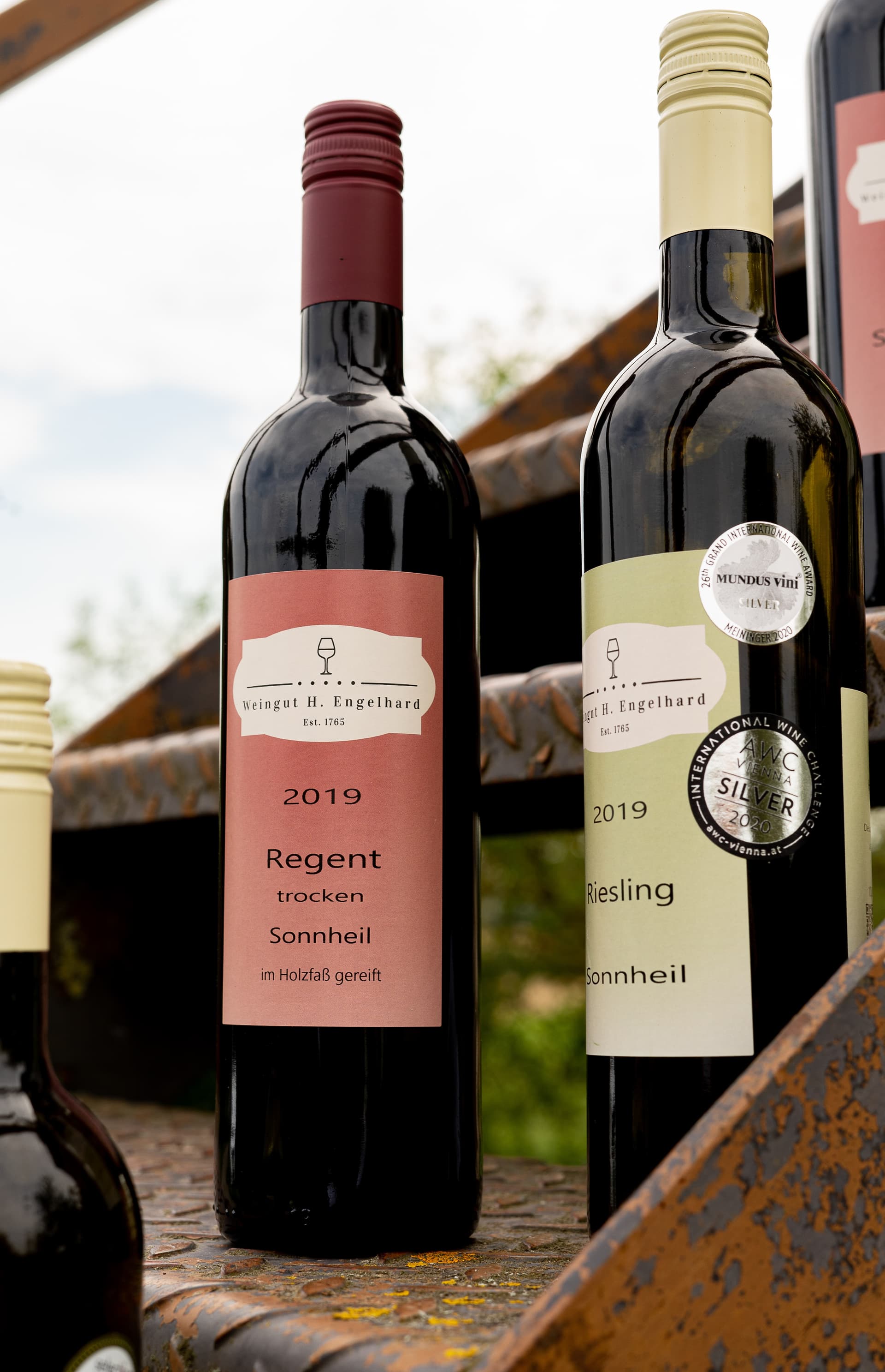 Spännande vinprovning på Weingut H. Engelhard