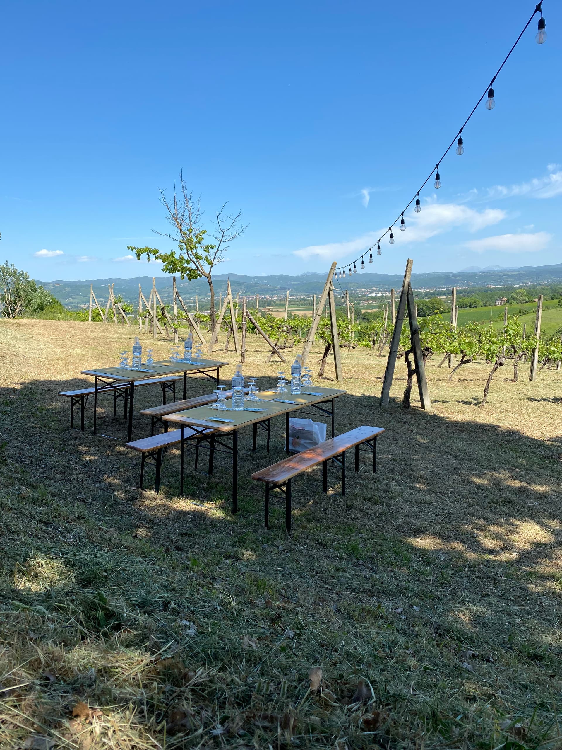 Besök på vingården och provsmakning i vingården på Colonna Winery foto 5