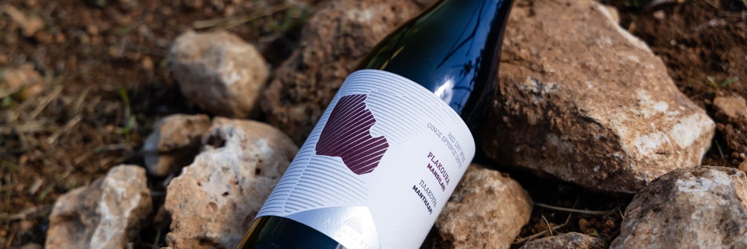 Nippen, genießen und entdecken: Weinprobe aus einer einzigen… Foto 5