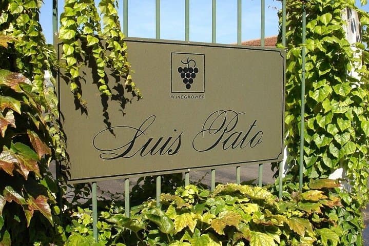 Tour enologico privato premium di Bairrada: visita 3 cantine con degustazioni di vino e pranzo foto 5