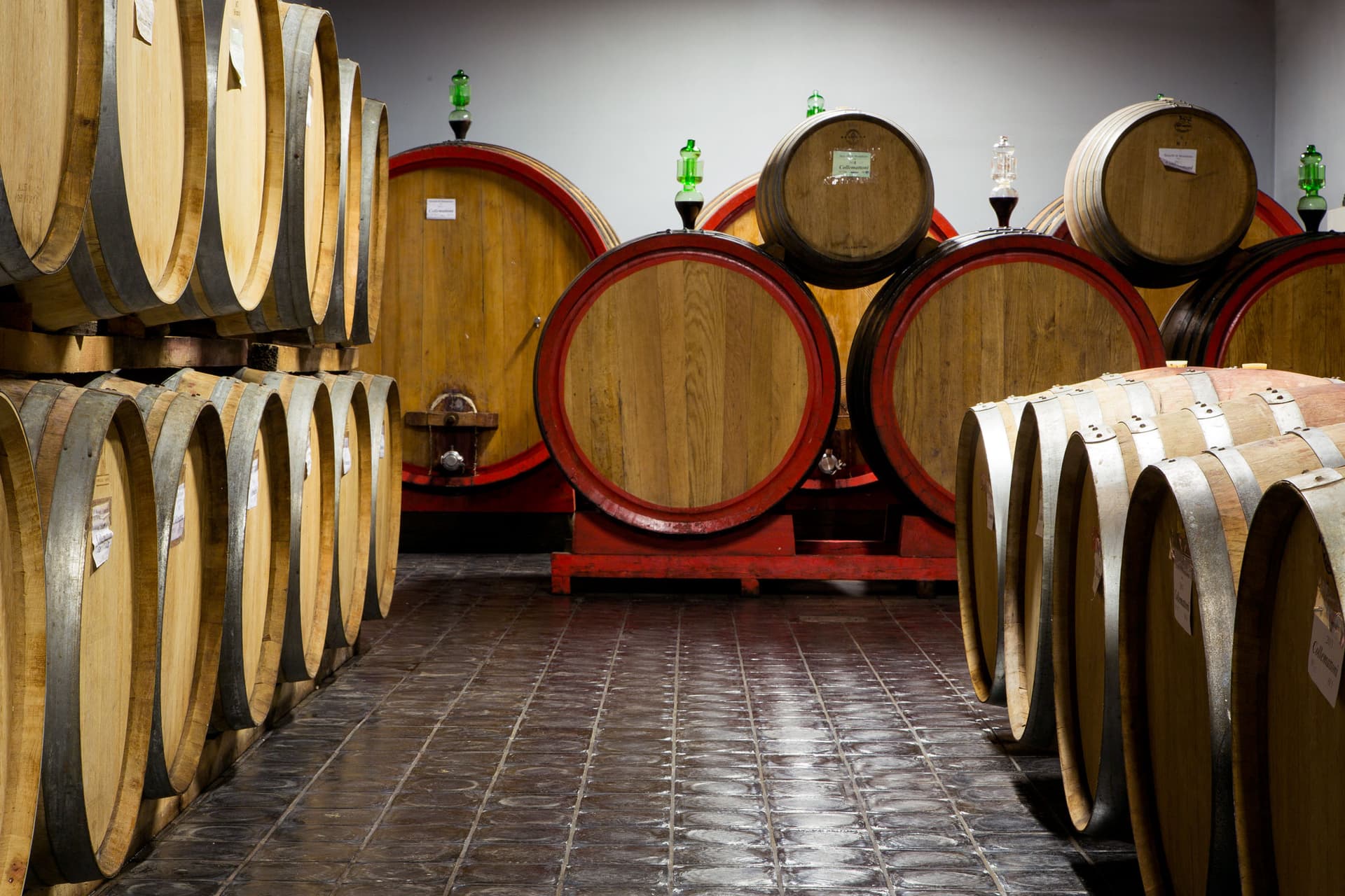 Collemattoni Winery photo 2