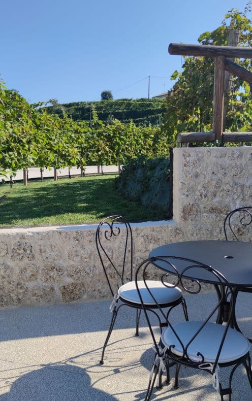 Stroll Veneto Vineyards & Taste Prosecco photo 4