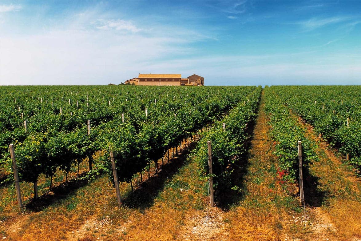 Cantine Lenotti Foto 2