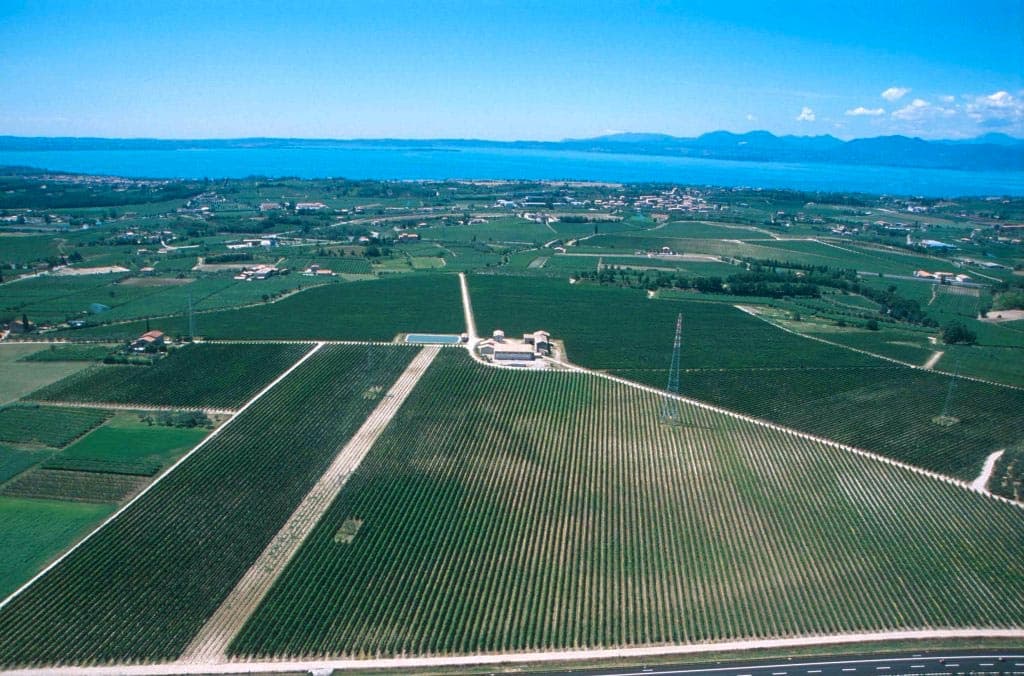 Cantine Lenotti Foto 4