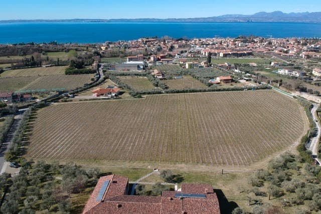 Cantine Lenotti Foto 3