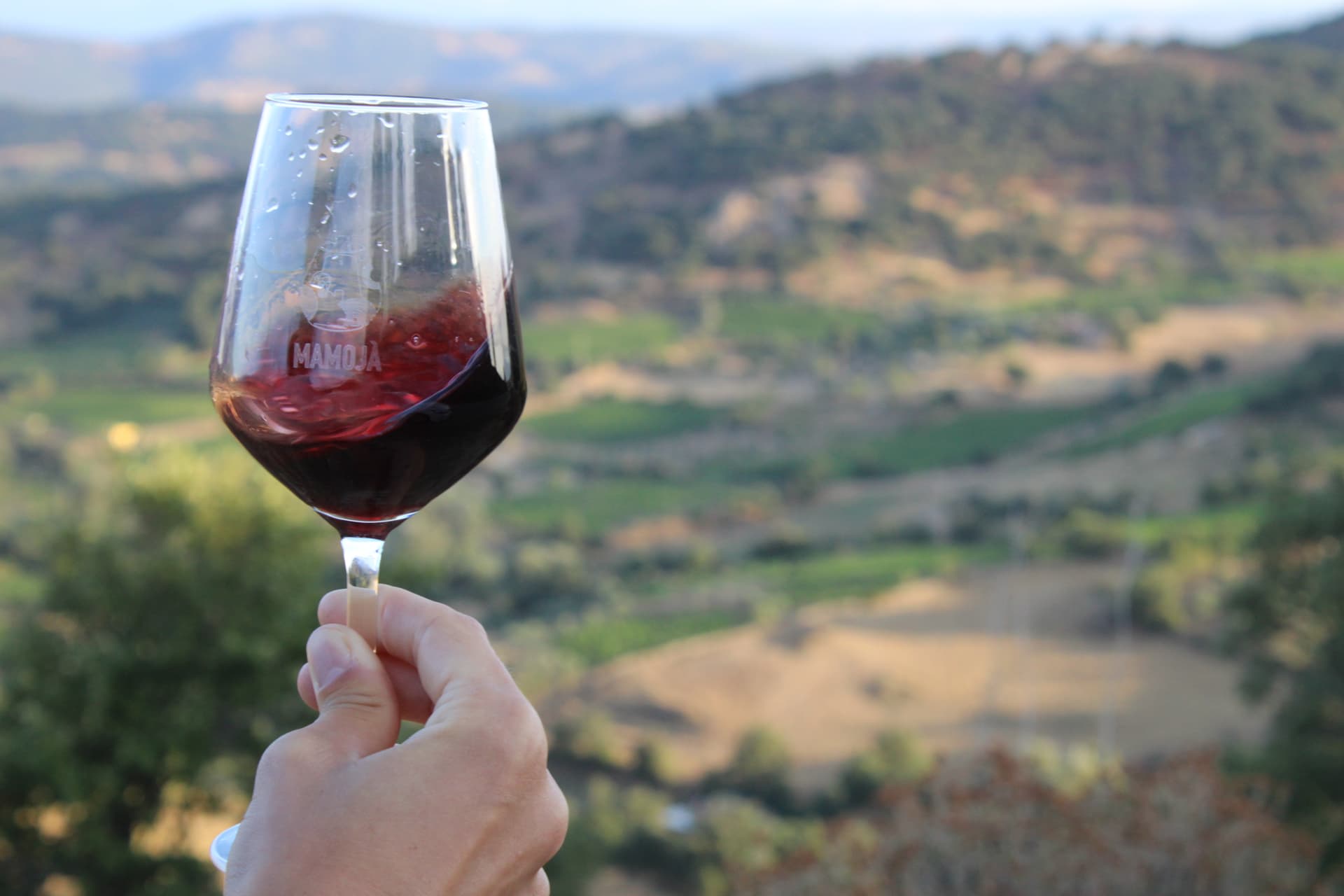 Uma degustação de vinhos muito típica no coração da Sardenha |… foto 5