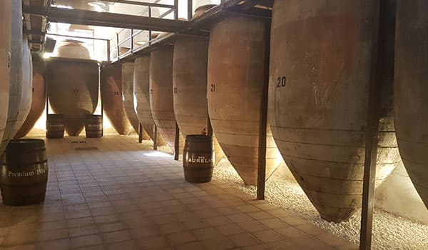 Navarro López Winery: A Family Tradition foto 4