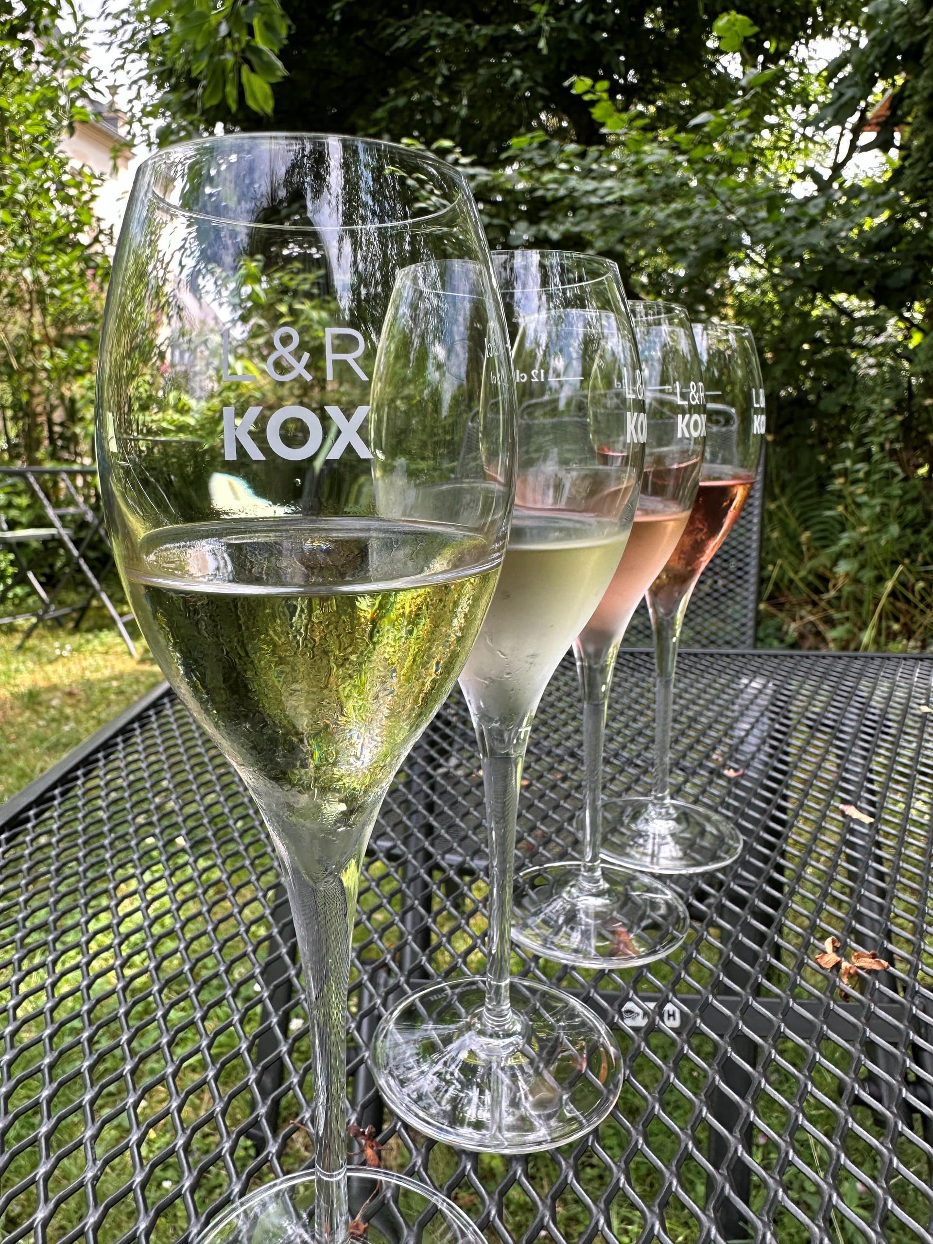 Cata de vinos a ciegas en Domaine Kox foto 5