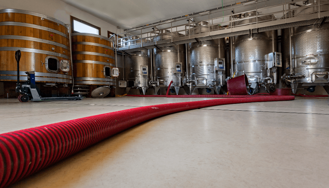 Destacado de Cantina Giuseppe Sedilesu