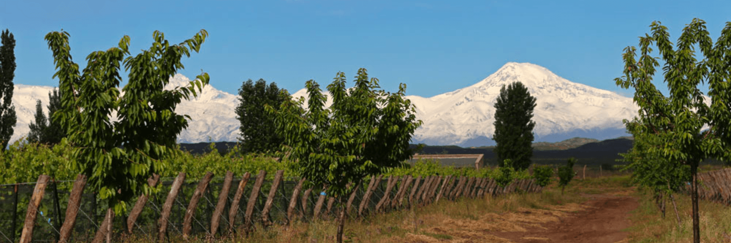 Bodega Alpamanta