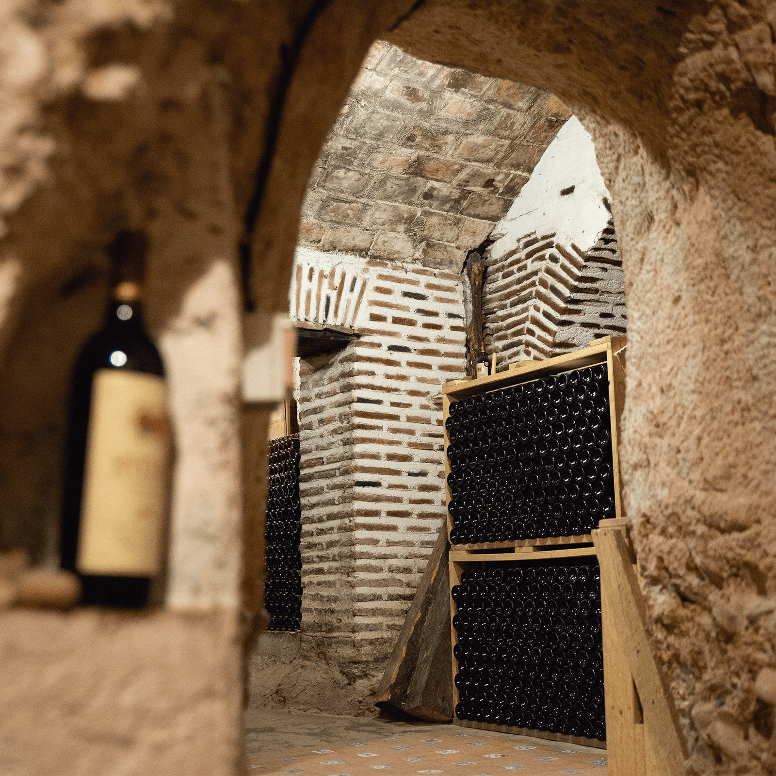 Visita Imprescindible con Aperitivo en Bodega Muelas