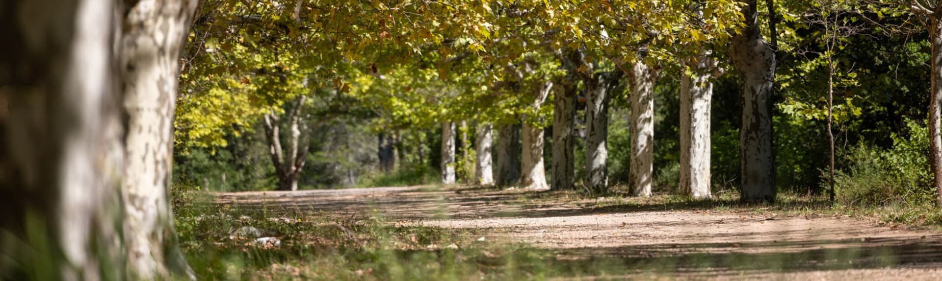 Château Astros: A Timeless Winery in Provence
