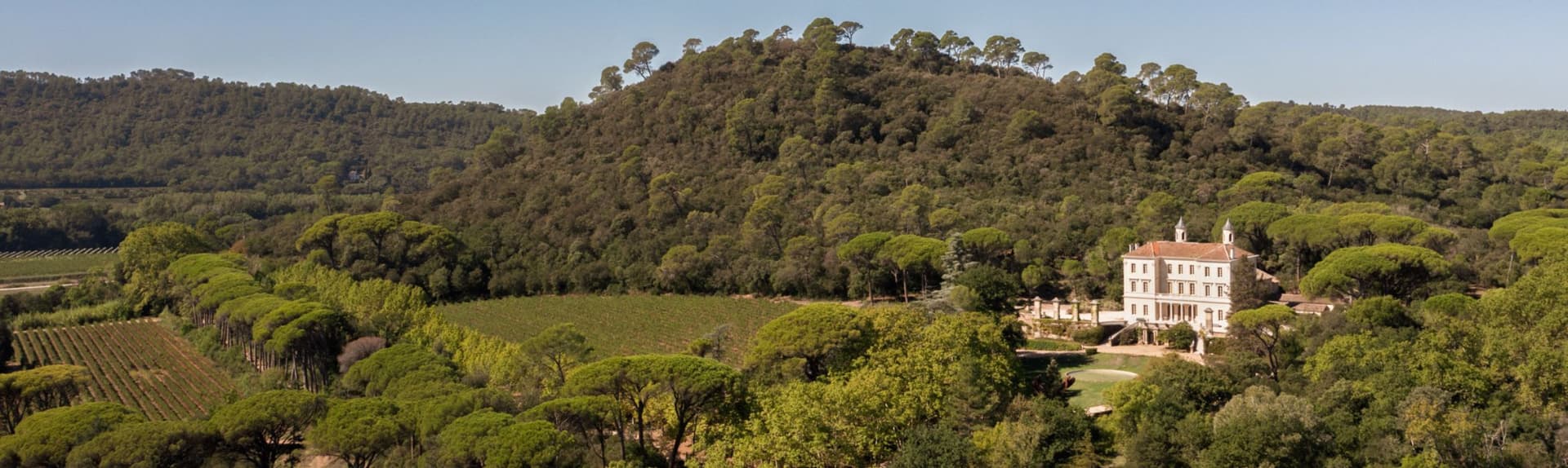 Château Astros: A Timeless Winery in Provence photo 3