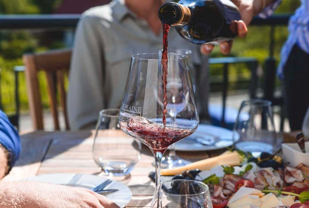 Tour Completo - Degustação de Vinhos na vinícola orgânica… foto 2