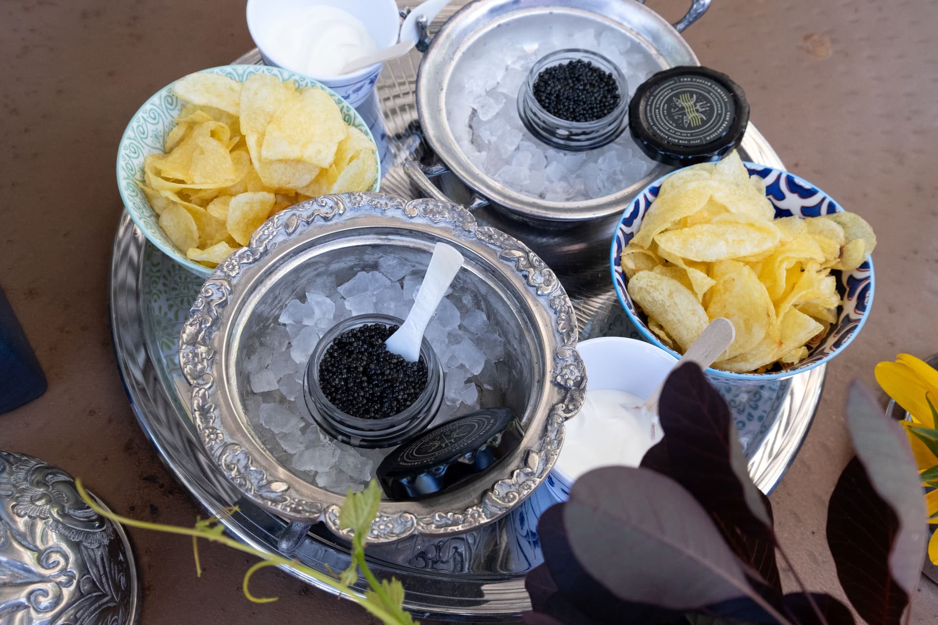 California Sparkling Wine Garden Tasting photo 3