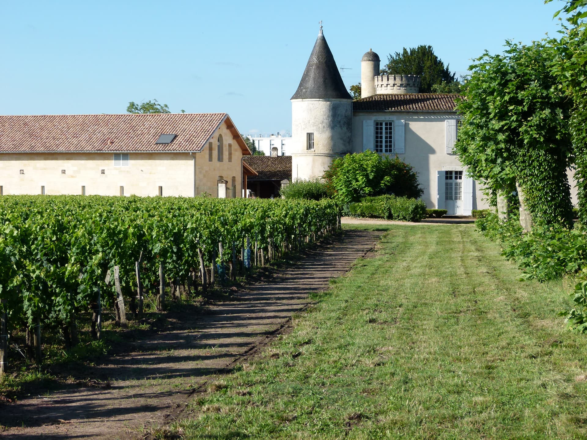 Vinprovning på Chateau Cruzeau foto 2