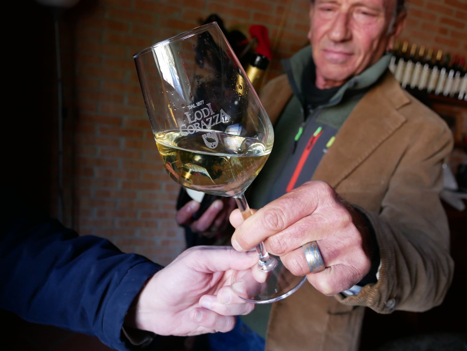 Degustação de vinhos premium "Storia": 5 harmonizações de… foto 3