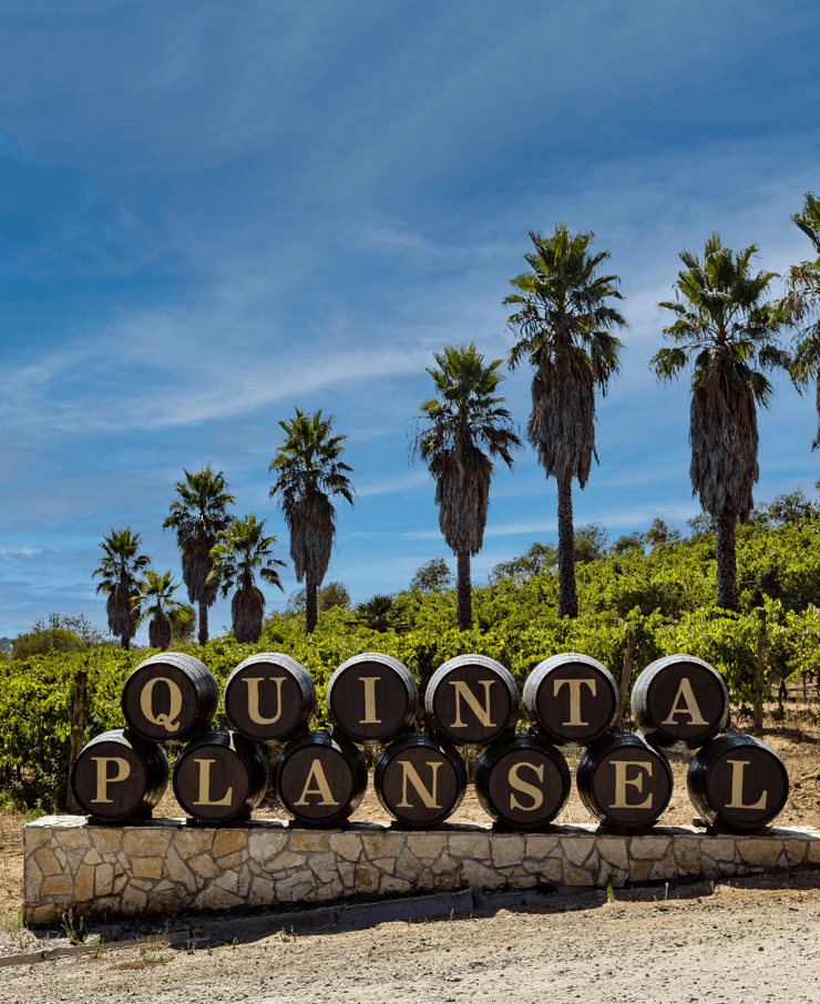 Pique-nique avec du vin à Quinta Da Plansel photo 4