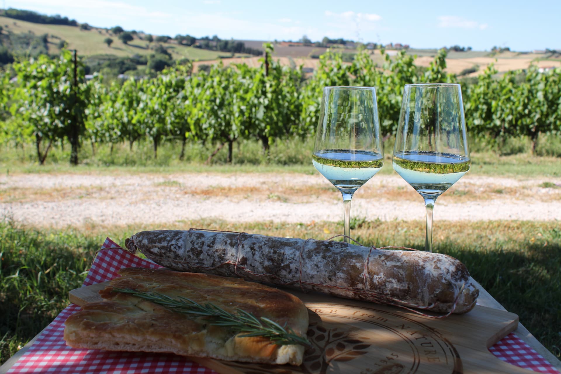 Seja De Ven na Vinícola Tenuta Carbognano foto 3