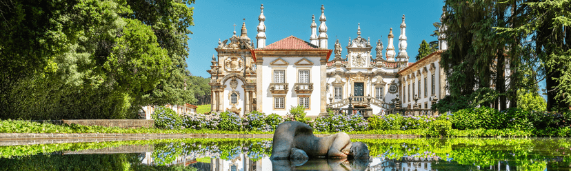 Wineries Near Vila Real