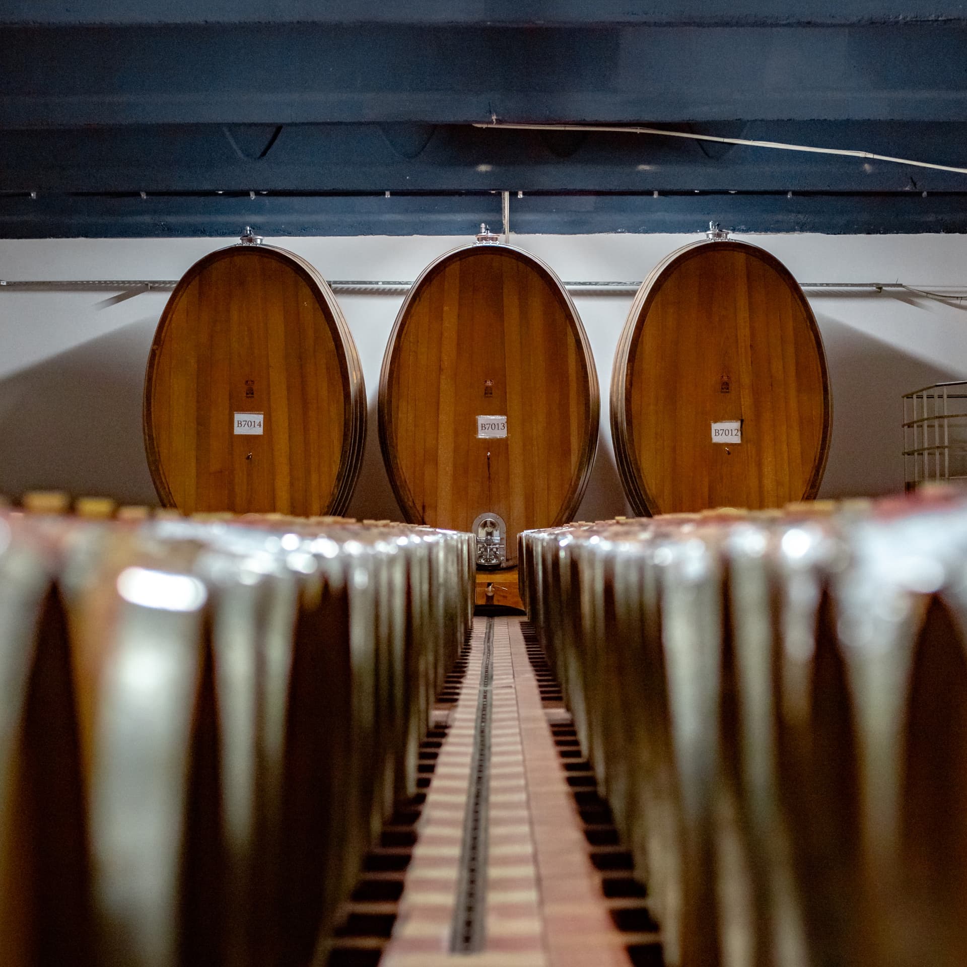 Entdecken Sie MARANI - Weintour und Verkostung Foto 5