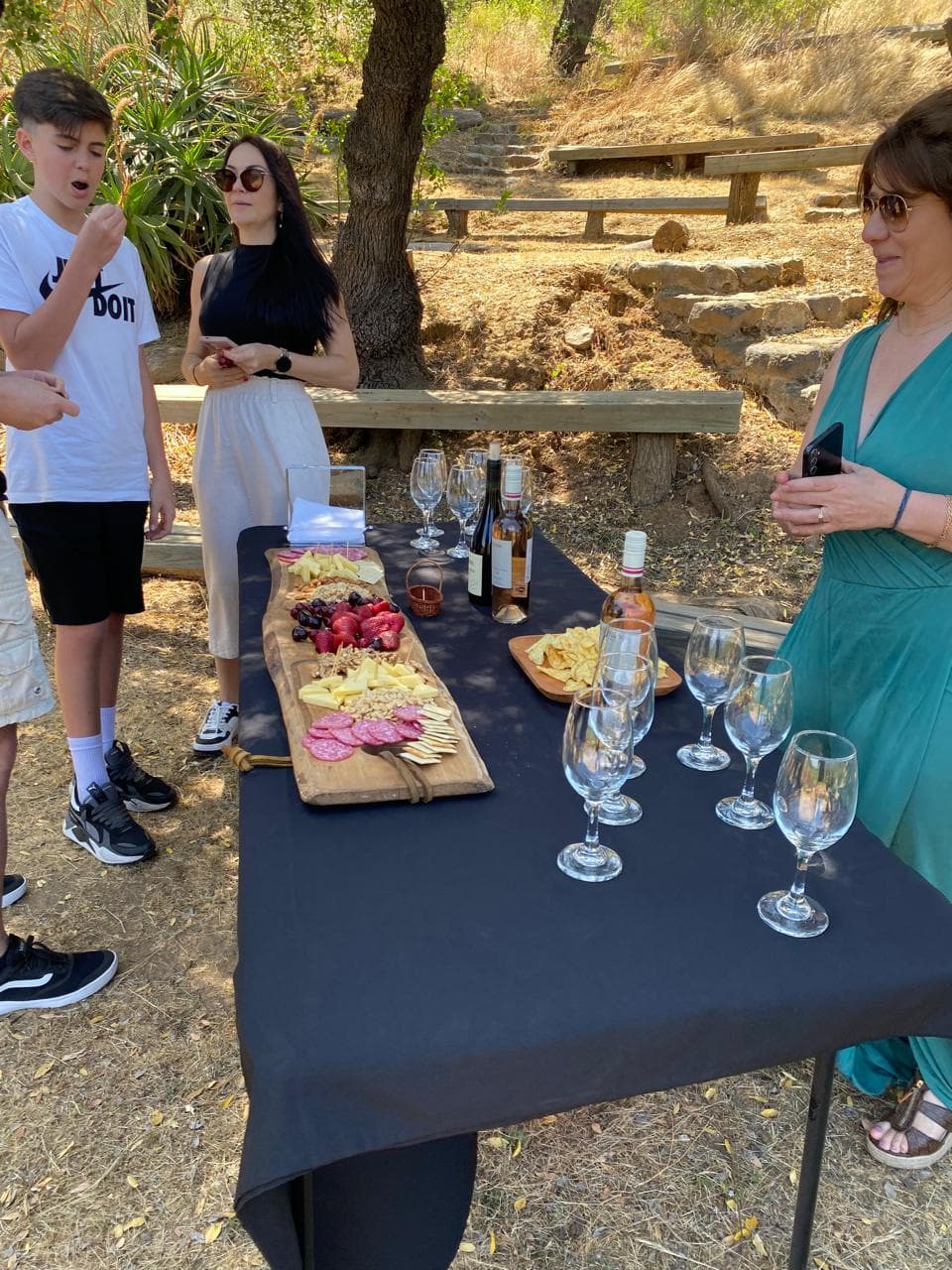 Tour de degustação de vinhos vintage em família - Melipilla foto 3