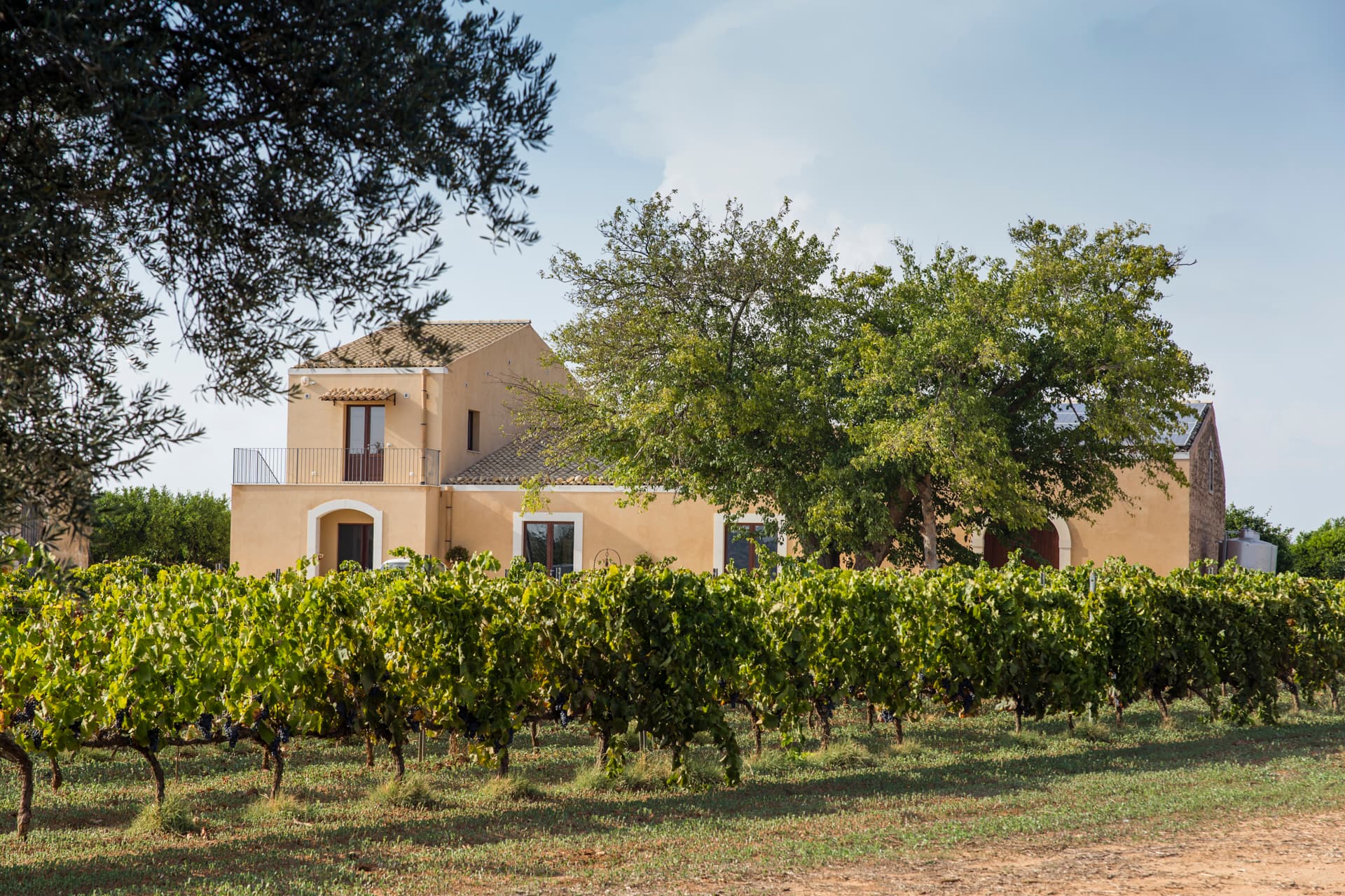 Santa Tresa Winery