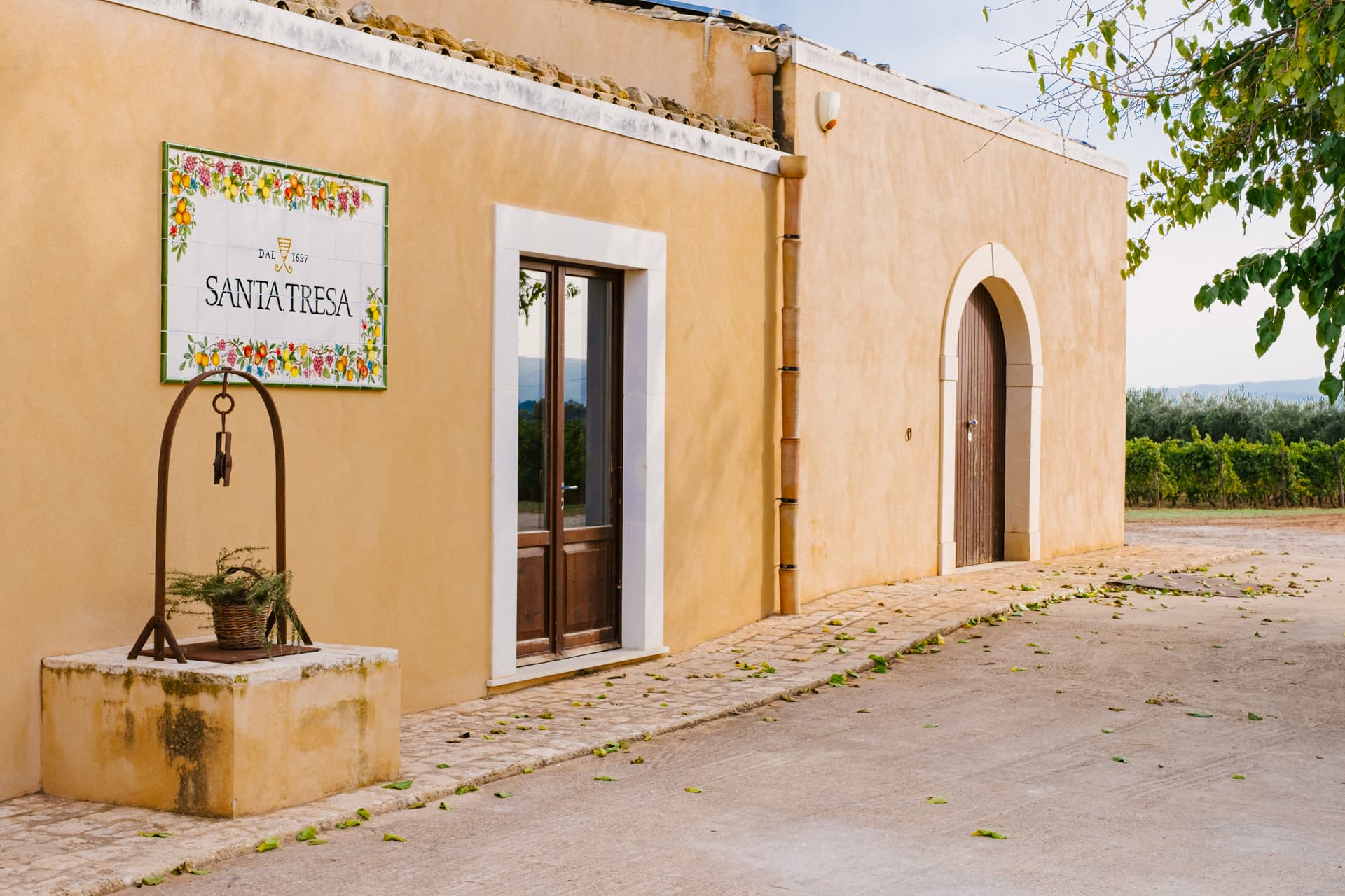 Taste Organic Sicilian Wines from Local Grapes