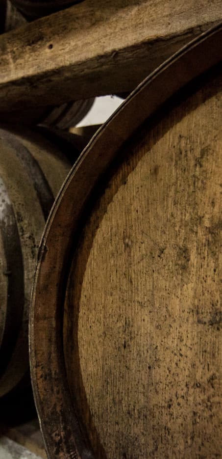 One, Two, Terroir – Dégustation de vins à la coopérative… photo 5