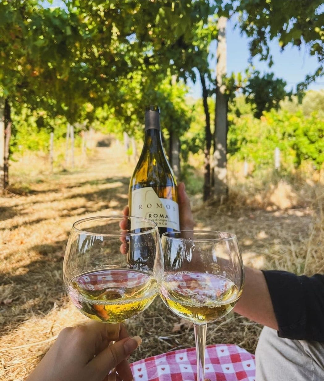 Weinprobe und Tour im Casale Mattia Foto 5