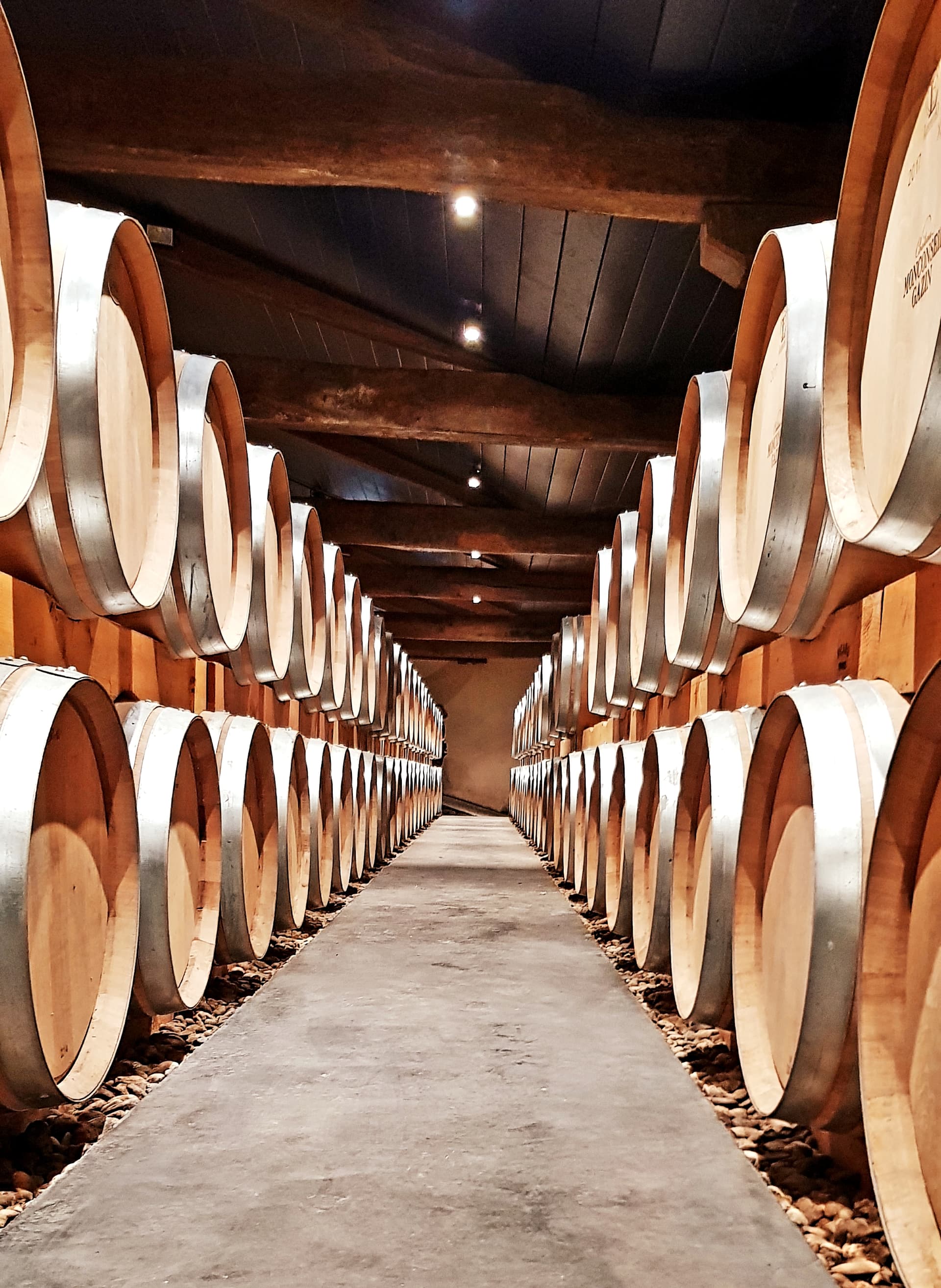 Château Monconseil-Gazin: A Legacy of Bordeaux Winemaking foto 2