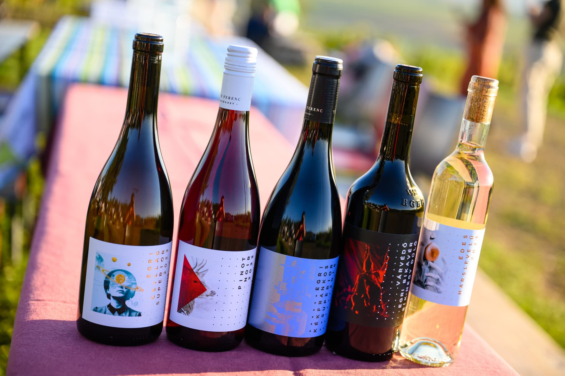 Degustação de vinhos superiores e tour pelos vinhedos na… foto 5