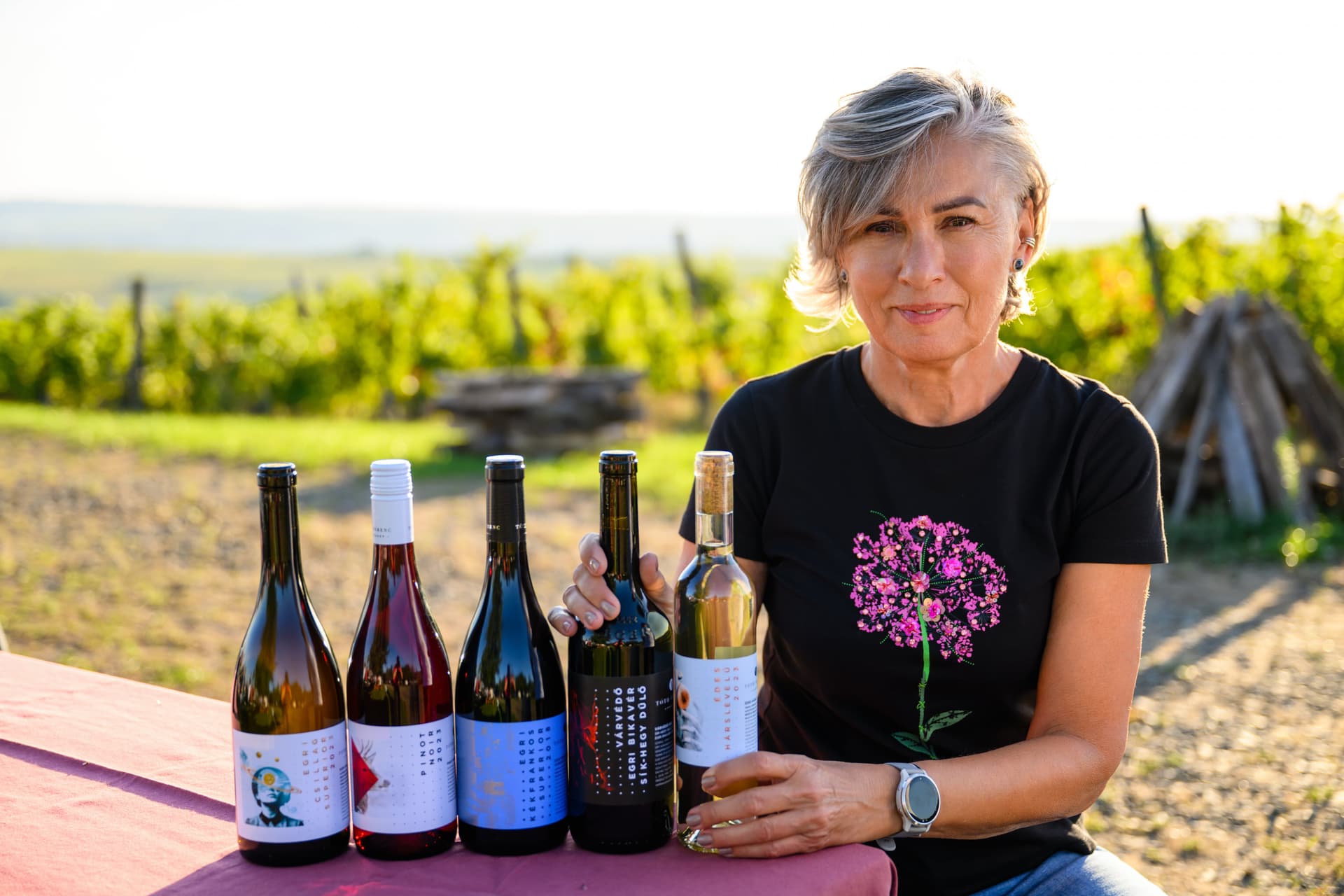 Degustação de vinhos superiores e tour pelos vinhedos na… foto 4