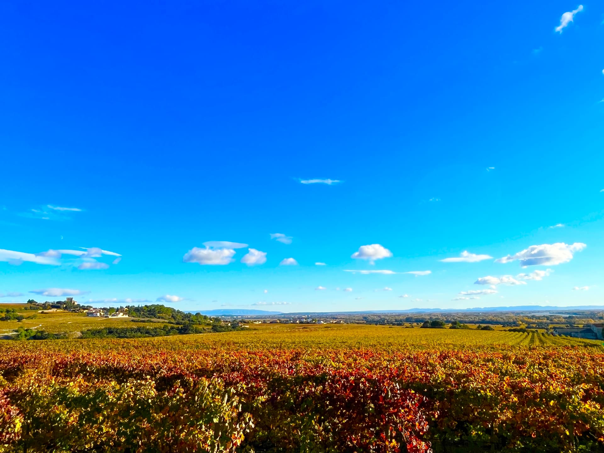 Manhã de degustação de vinhos em 2 adegas de Châteauneuf du Pape
