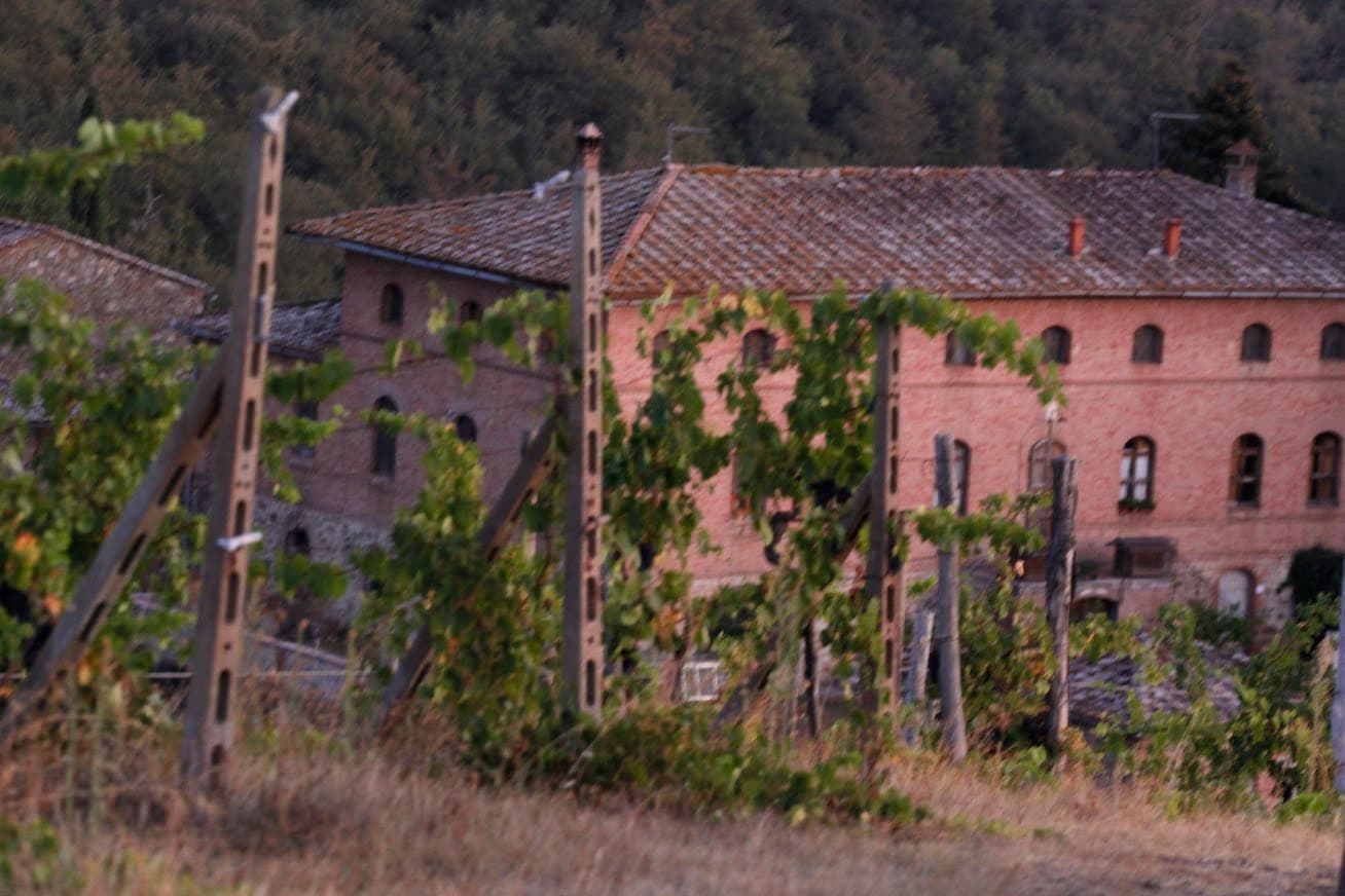 Castello di Selvole photo 3