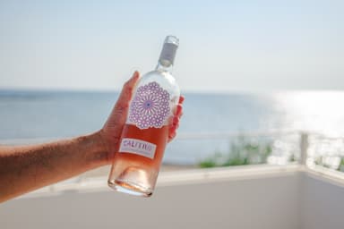 Calitro Negromaro Rosé Salento IGP