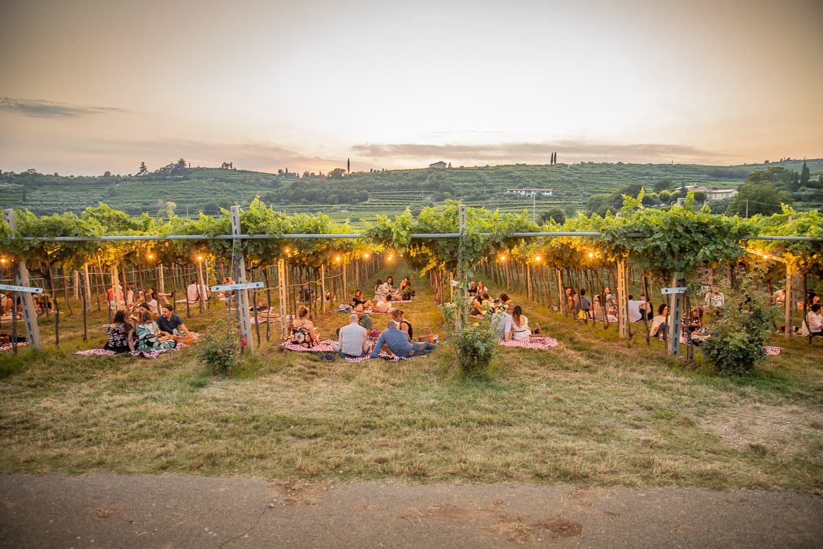 Picnic en Vigna